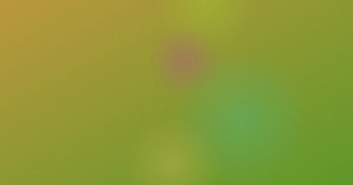 败犬是什么：四种说法分清